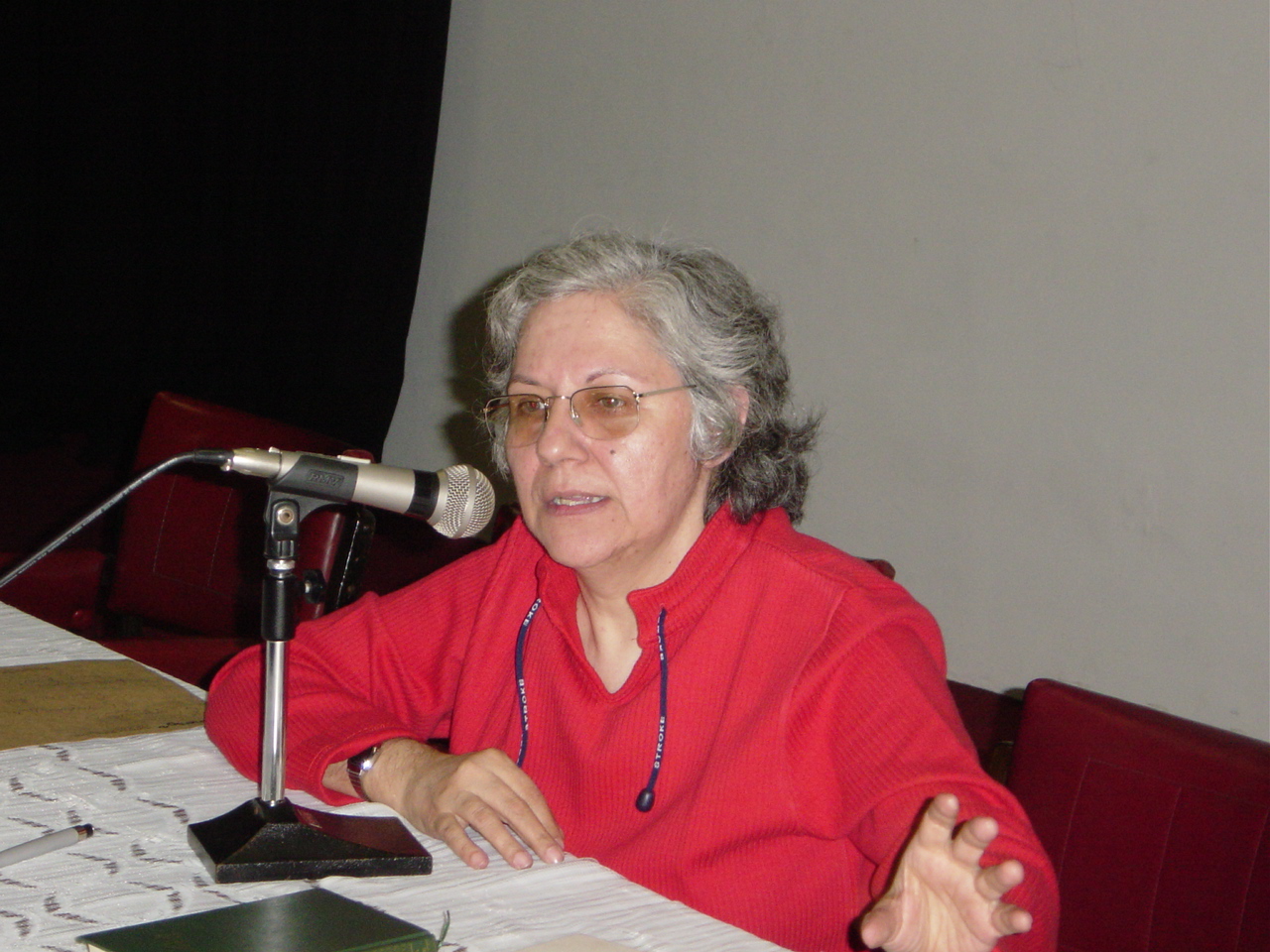 Iná Camargo Costa
